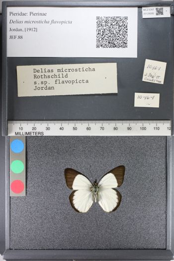 Media type: image;   Entomology 128282